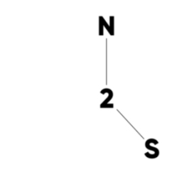 n2s.png